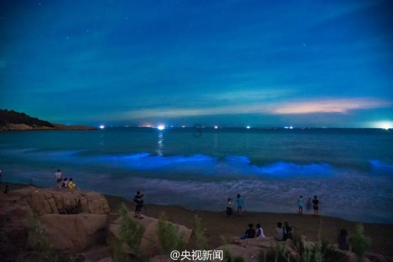 合金装备幸存