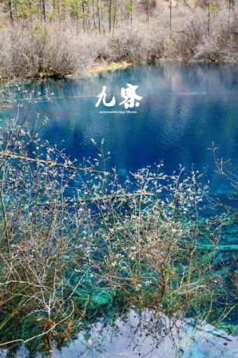 懒羊羊的奇幻世界