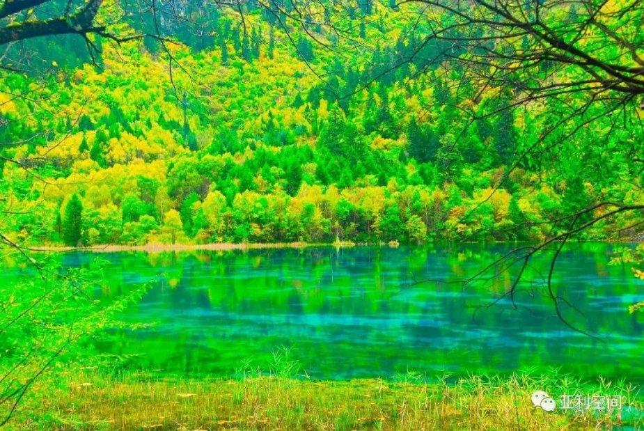 消逝的光芒：信徒