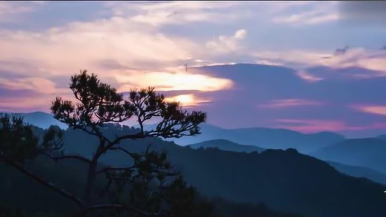 蓝狐视频