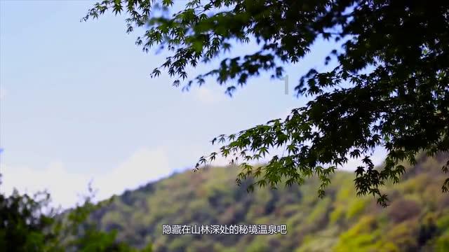 《细思极恐！蓝亦菲去世了？揭秘《要久久爱》中这8细节！》