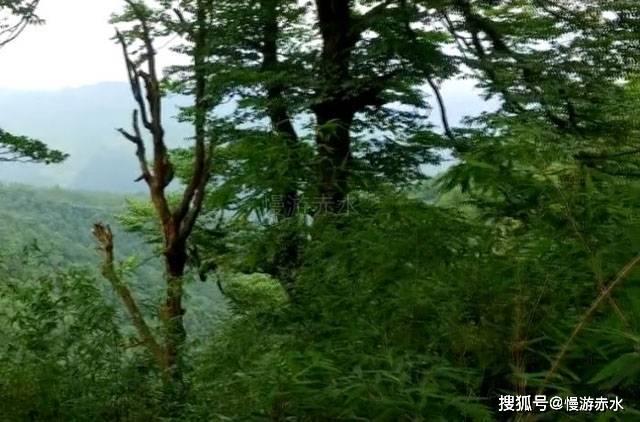 蜡笔小新大逃杀