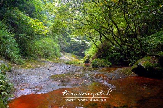 提醒！今明两天，十堰城区这4条公交线路六堰站点有调整