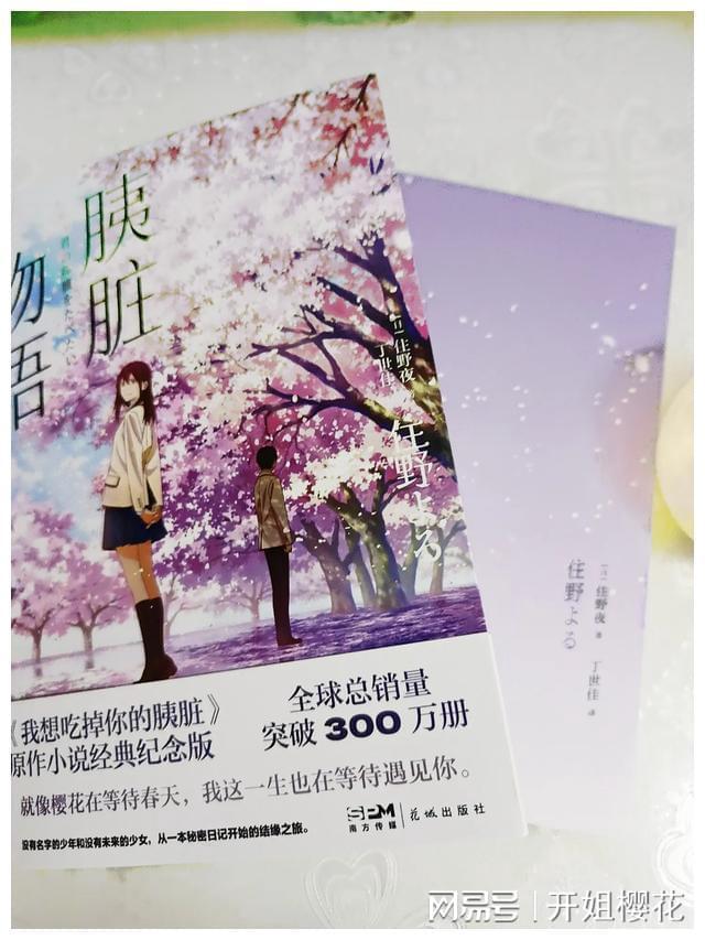 贪吃鼠吃豆豆