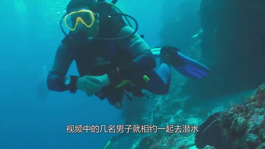 梦幻糖果森林逃生
