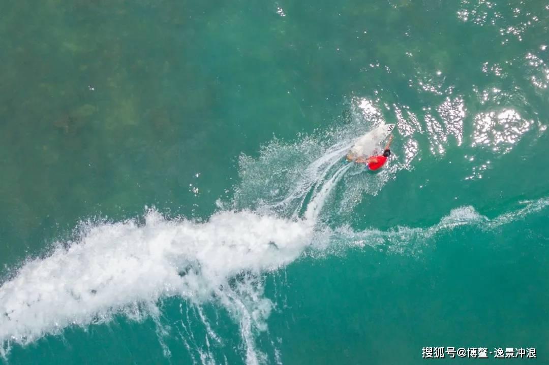 他画一只鸟卖了82万,网友吐槽:不如小学生,专家:往鸟眼睛里看