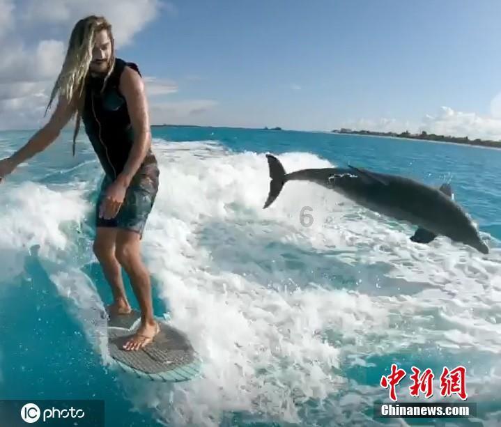 请勿打扰