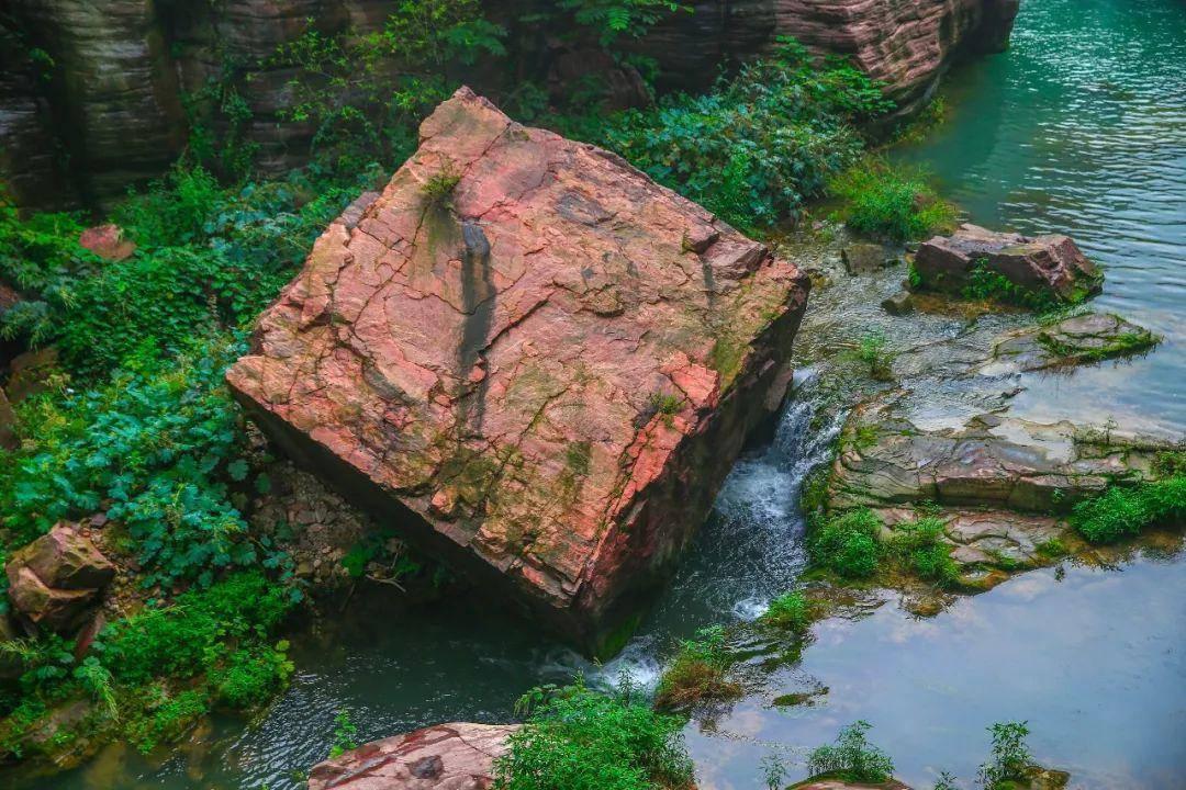 沪江开心词场