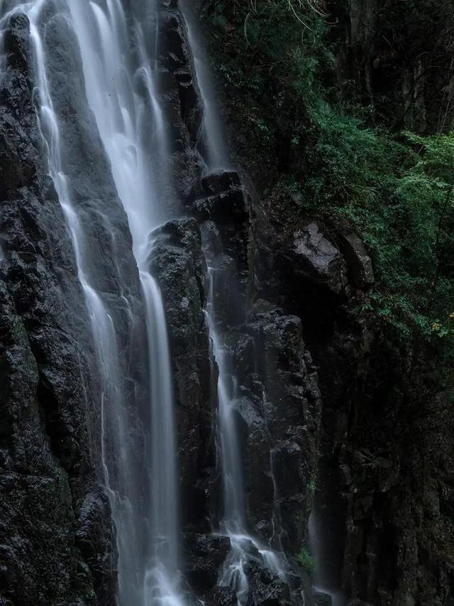 旅途/风之旅人