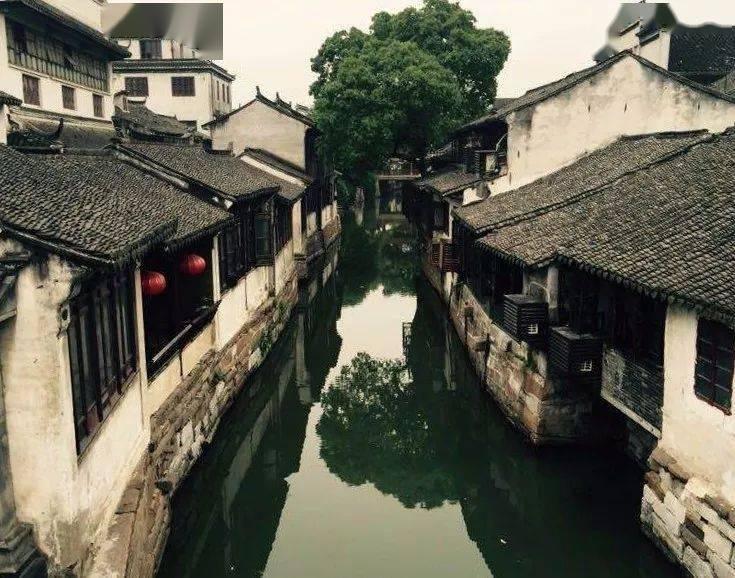 云上的歌
