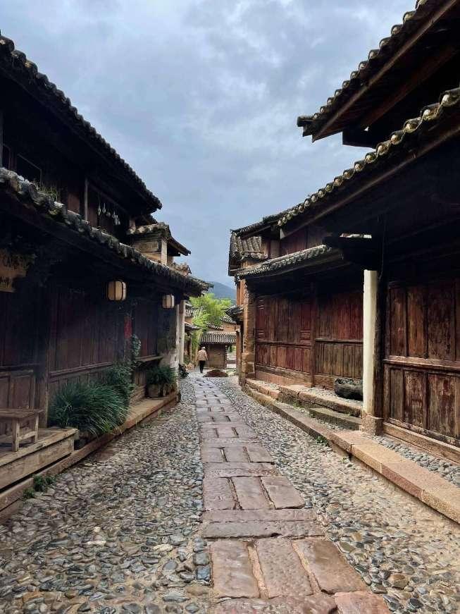 春雨直播app
