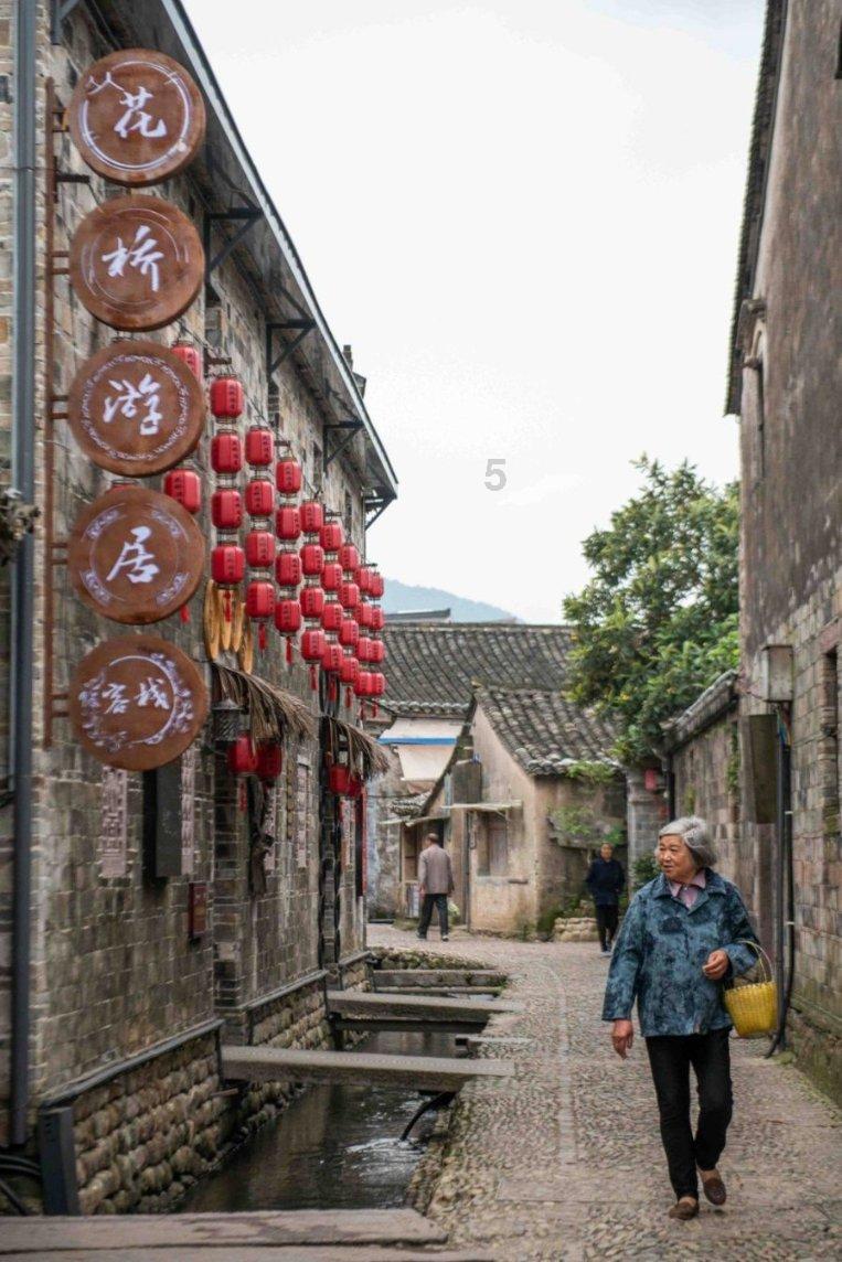 政协委员报到!普陀进入“两会时间”